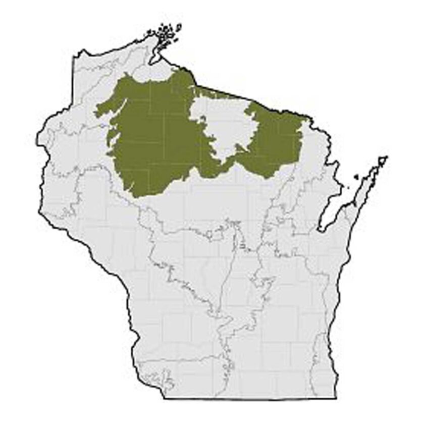 DNR seeking public comment for the North Central Forest Regional Master